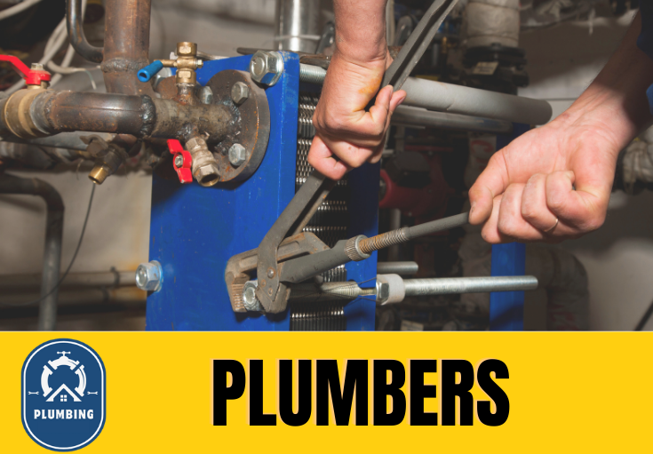  plumber Cuxton
